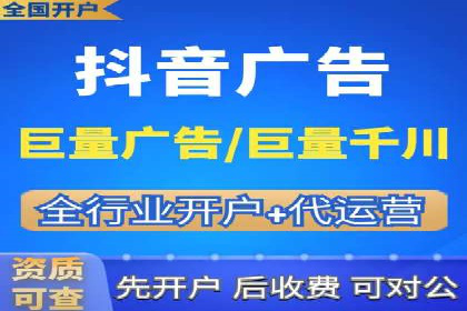 SEO与SEM优化案例：打造行业领先品牌